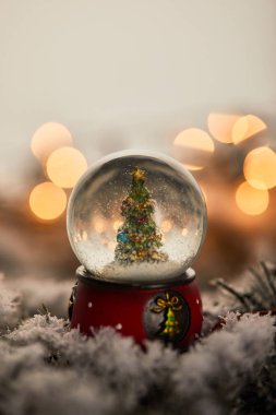Karlı küçük kartopu, çam ağacıyla süslenmiş ladin dalları üzerinde altın ışıklarla bokeh