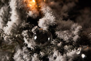 Şeffaf noel baloları ve ladin dallarında sarı ışıklar.