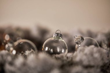 Kardaki ladin dallarında şeffaf noel baloları
