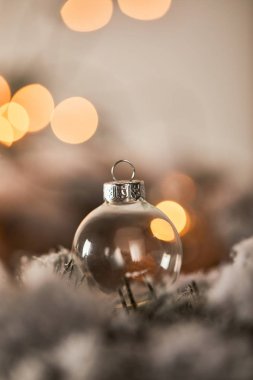 Karda ladin dallarında şeffaf noel balosu. Işıklar bokeh