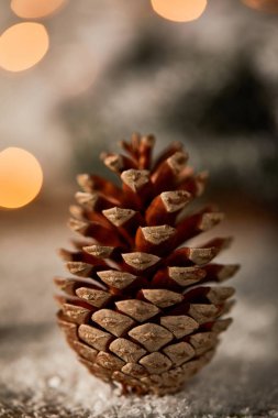 close up of pine cone on snow with christmas lights bokeh clipart