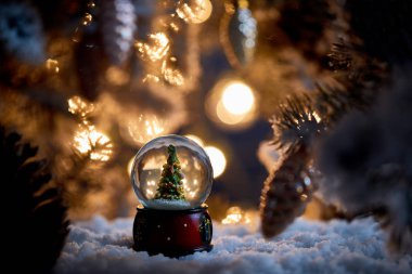 Kartopu içinde küçük bir Noel ağacı. Karların üzerinde duruyor. Dalları alacalı ve geceleri bulanık ışıklar.