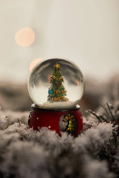 Pequeña Bola Nieve Con Árbol Navidad Pie Nieve Con Ramas — Foto de Stock