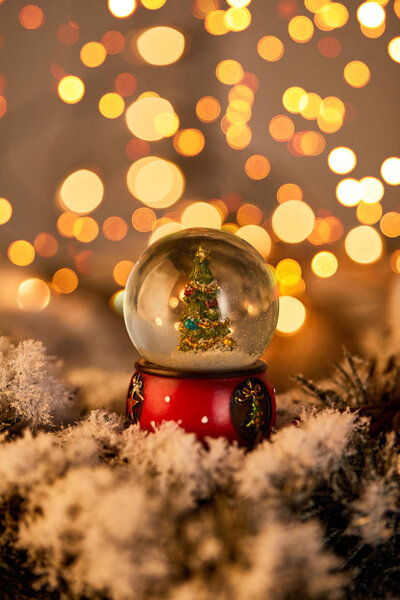 little snowball with christmas tree standing in snow with golden lights bokeh