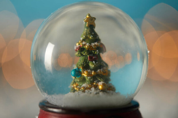 close up of snowball with christmas tree standing on blue in snow with spruce branches and lights bokeh 