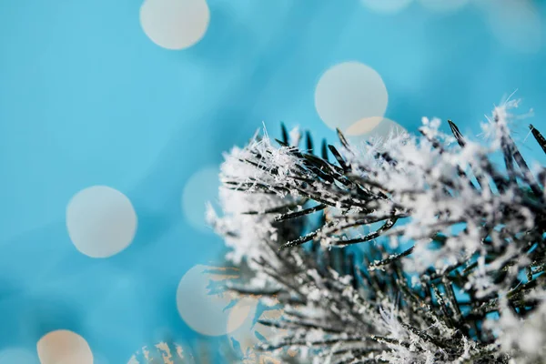 Nahaufnahme Von Fichtenzweigen Schnee Mit Weihnachtsbeleuchtung Bokeh Auf Blau — Stockfoto