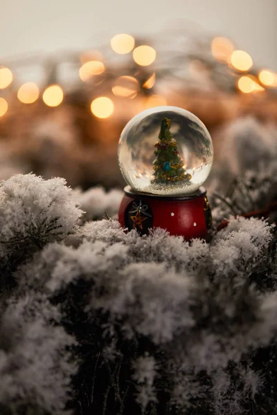 Kleine Sneeuwbal Met Kerstboom Staande Sparren Takken Sneeuw Met Lampjes — Stockfoto