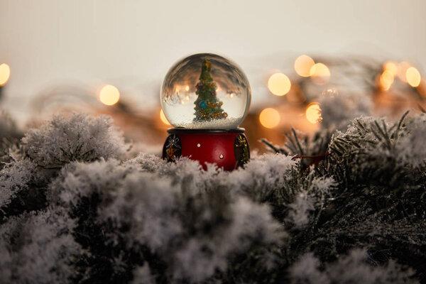 декоративный снежок с рождественской ёлкой, стоящей на еловых ветвях в снегу с огнями боке
 