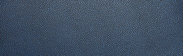 top view of empty dotted blue paper texture, panoramic shot