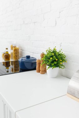 modern white kitchen interior with pot on electric induction cooktop near plant and food containers near brick wall clipart