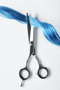 Top view of scissors and curl of blue hair on white background clipart