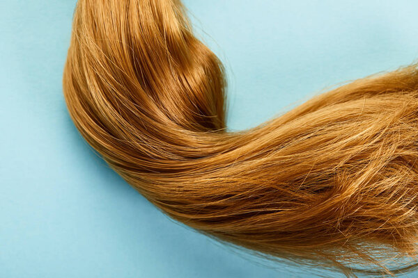 Top view of brown hair on blue background