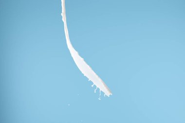 fresh white milk splash isolated on blue clipart