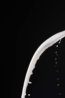 Siyah üzerine izole edilmiş taze beyaz süt sıçraması