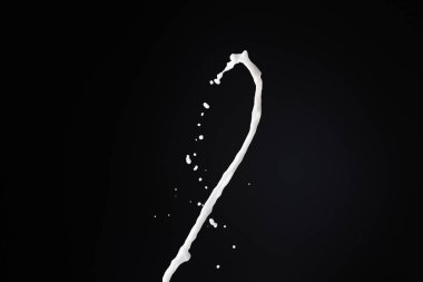 fresh white milk splash with drops isolated on black clipart