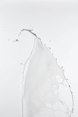 pure fresh white milk splash with drops isolated on white clipart