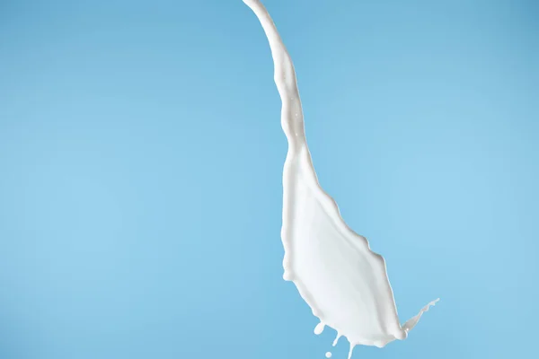 Salpicadura Leche Blanca Fresca Aislada Azul — Foto de Stock