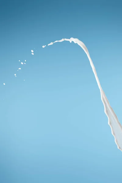 Φρέσκο Λευκό Γάλα Splash Απομονώνονται Μπλε — Φωτογραφία Αρχείου