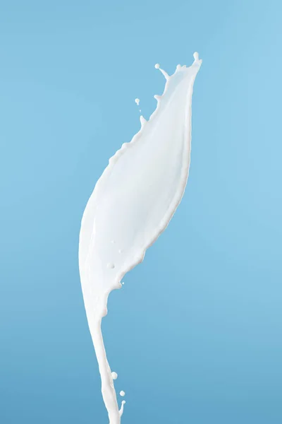 Fresh White Milk Splash Isolated Blue — Stock Photo, Image