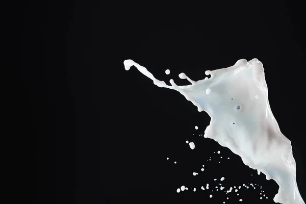 Fresh White Milk Splash Isolated Black — 스톡 사진