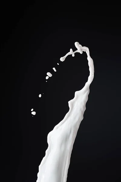 Frische Weiße Milch Spritzt Mit Tropfen Isoliert Auf Schwarz — Stockfoto