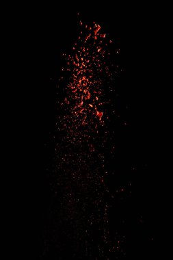 Siyah arkaplanda kırmızı renkli holi boya patlaması