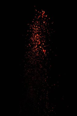 red colorful holi paint explosion on black background clipart