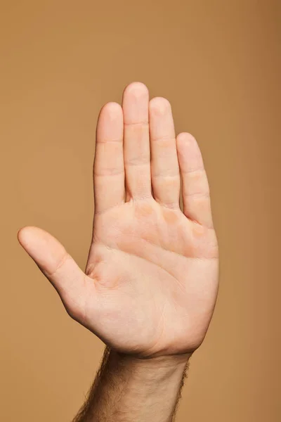 Bijgesneden Beeld Van Mens Met Geïsoleerde Palm Beige — Stockfoto