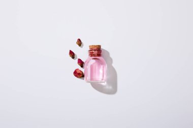 Top view of bottle of rose oil and pink buds on grey background clipart