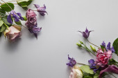 horní pohled na fialové a fialové květy na bílém pozadí