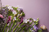 vrchní pohled na krásné květiny na fialovém pozadí s kopírovacím prostorem