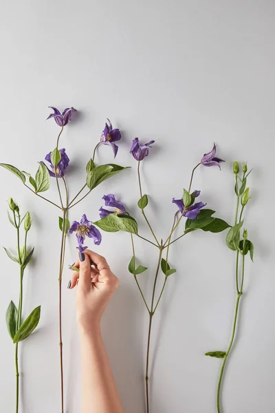 白い背景に紫色の花を持つ女性の切り取られた眺め — ストック写真