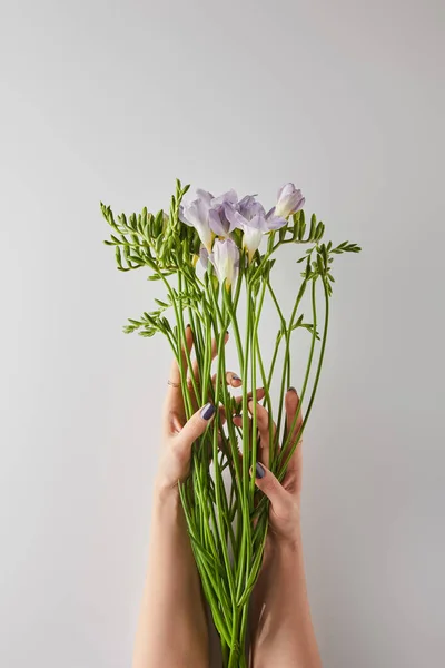 Bijgesneden Uitzicht Van Vrouw Met Violette Freesia Bloemen Witte Achtergrond — Stockfoto