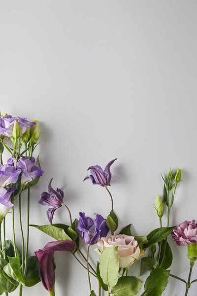 top view of violet and purple flowers on white background