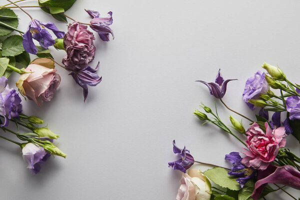 top view of violet and purple flowers on white background
