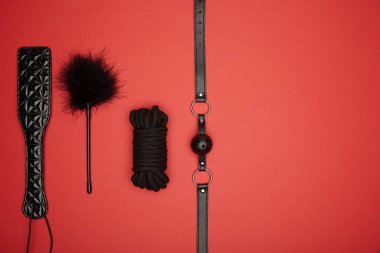 top view of black paddle, gag, rope, feather tickler isolated on red clipart