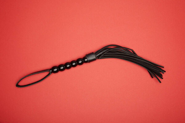 top view of leather flogging whip isolated on red