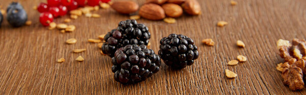 Выборочный фокус ежевики с миндалем, грецкими орехами, красной смородиной, черникой на деревянном фоне, панорамный снимок
