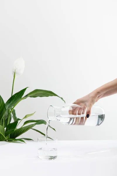 Cropped View Woman Pouring Water Bottle Glass Green Peace Lily — Stock Photo, Image