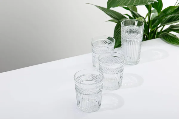 Verres Facettes Eau Douce Sur Table Blanche Près Vert Plante — Photo