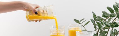 Beyaz panoramik çekimde izole edilmiş yeşil bitkinin yanında cam üzerine lezzetli sarı smoothie döken bir kadın görüntüsü.
