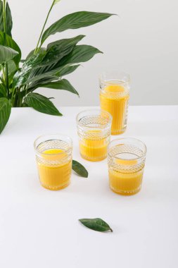 Yeşil barış çiçeğinin yakınındaki beyaz yüzeyde taze, lezzetli sarı smoothie bardakları gri üzerine izole edilmiş.