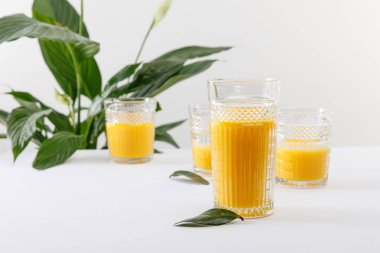 Beyaz yüzeyde yeşil barış zambağı yakınındaki taze sarı smoothie bardaklarının seçici odak noktası gri üzerinde izole edilmiş.