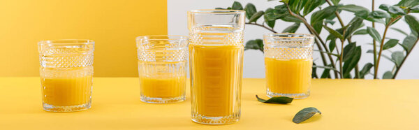 glasses of fresh delicious yellow smoothie near green plant, panoramic shot