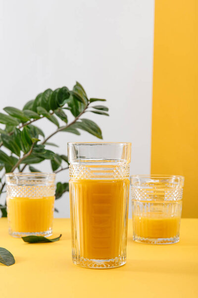 selective focus of glasses of fresh delicious yellow smoothie near green plant