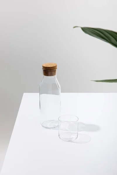 Empty Glass Bottle Green Plant White Surface Isolated Grey — Stock Photo, Image