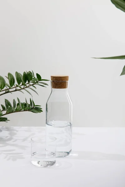 Glas Und Flasche Süßwasser Der Nähe Grüner Pflanzen Auf Weißer — Stockfoto