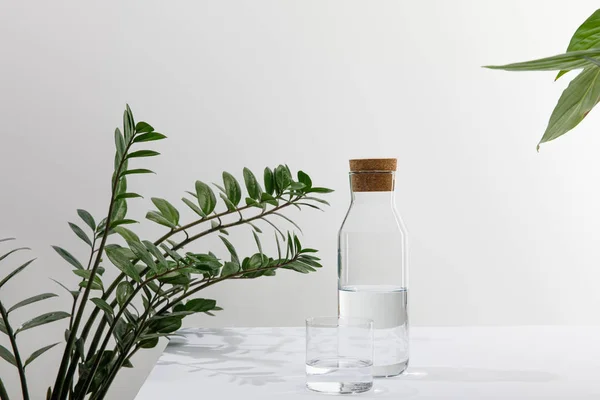 Vidrio Botella Agua Dulce Cerca Plantas Verdes Superficie Blanca Aislada — Foto de Stock