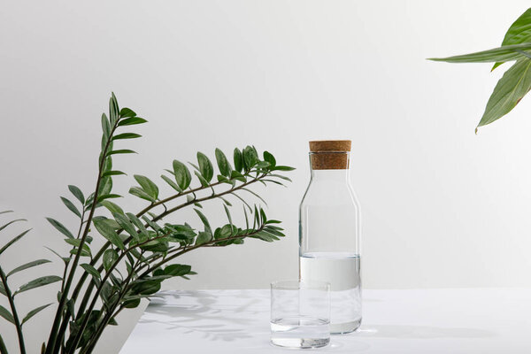 glass and bottle of fresh water near green plants on white surface isolated on grey