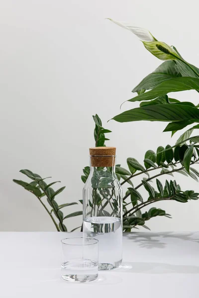 Γυάλινο Και Μπουκάλι Γλυκού Νερού Κοντά Πράσινα Φυτά Λευκή Επιφάνεια — Φωτογραφία Αρχείου